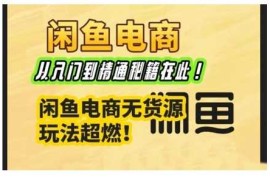 手机项目闲鱼电商实战课，从入门到精通秘籍在此，闲鱼电商无货源玩法超燃!02-07冒泡网