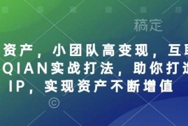 手机项目个人IP资产，小团队高变现，互联网全链路赚QIAN实战打法，助你打造个人IP，实现资产不断增值03-18冒泡网