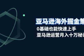 最新项目亚马逊海外掘金策略，0基础也能快速上手，亚马逊运营月入十万秘诀12-15福缘网