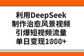 每日利用DeepSeek制作治愈风景视频，引爆短视频流量，单日变现多张02-24冒泡网