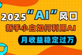 每天（13821期）2025“AI”风口，新手小白如何利用ai，每月收益稳定过万12-26中创网