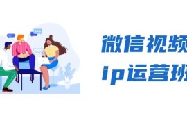 实战（13228期）微信视频号ip运营班：特邀分享+CEO直播+精英分享，揭秘视频号变现秘诀11-05中创网