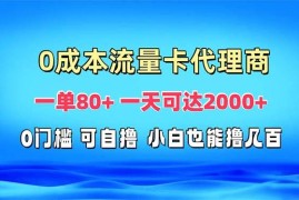 创业项目（13391期）免费流量卡代理一单80+一天可达2000+11-20中创网