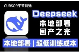 手机项目2025年deepseekR1大型模型本地安装部署(文件+教程)本地部署，超低训练成本02-05冒泡网