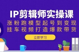 每天（13980期）IP剪辑师实操课：涨粉跑模型起号到变现，挂车视频打造爆款带货01-17中创网