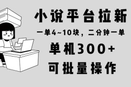 每日（13800期）小说平台拉新，单机300+，两分钟一单4~10块，操作简单可批量。12-24中创网