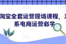 实战淘宝全套运营现场课程，淘系电商运营必学01-21冒泡网