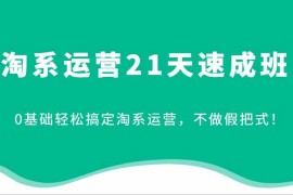 每天淘系运营21天速成班，0基础轻松搞定淘系运营，不做假把式！11-21福缘网