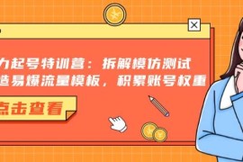 （13184期）暴力起号特训营：拆解模仿测试，打造易爆流量模板，积累账号权重