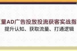 简单项目巨量AD广告投放投流获客实战指南，提升认知、获取流量、打通逻辑12-31福缘网