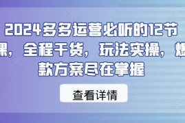 创业项目2024多多运营必听的12节课，全程干货，玩法实操，爆款方案尽在掌握09-24冒泡网