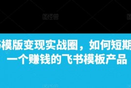 2024最新飞书模版变现实战圈，如何短期搭建一个赚钱的飞书模板产品12-21冒泡网