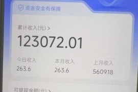 2025年最稳大数据代理赚钱攻略：手把手教你躺着赚佣金