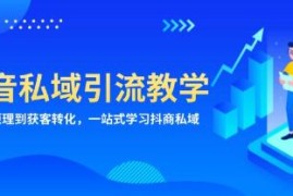 抖音私域引流教学，从项目原理到获客转化联合抖音号运营