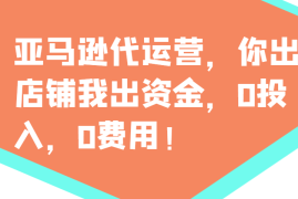 每天亚马逊代运营，你出店铺我出资金，0投入，0费用，无责任每天300分红，赢亏我承担02-21福缘网