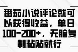 每天（13579期）番茄小说评论就可以获得收益，单日100-200+，无脑复制粘贴就行12-06中创网