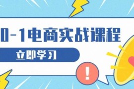 热门项目（13594期）从零做电商实战课程，教你如何获取访客、选品布局，搭建基础运营团队12-07中创网