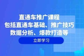 赚钱项目直通车推广课程：包括直通车基础、推广技巧、数据分析、爆款打造等01-21福缘网