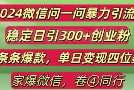 热门项目2024最新微信问一问暴力引流300+创业粉,条条爆款单日变现四位数【揭秘】12-07冒泡网