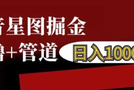 创业项目抖音星图掘金自撸，可以管道也可以自营，日入1k【揭秘】11-20冒泡网