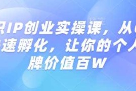 赚钱项目知识IP创业实操课，从0到1快速孵化，让你的个人品牌价值百W02-20冒泡网