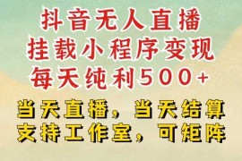 赚钱项目抖音无人直播挂载小程序变现每天纯利500+当天直播，当天结算支持工作室，可矩阵【揭秘】12-10冒泡网