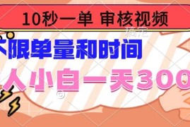 每日（14093期）10秒一单，审核视频，不限单量时间，新人小白一天300+02-06中创网