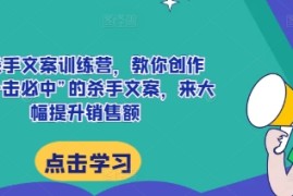 最新项目AI杀手文案训练营，教你创作出“一击必中”的杀手文案，来大幅提升销售额12-03冒泡网