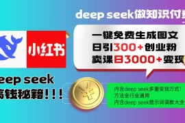 创业项目（14323期）Deepseek一键免费生成小红书图文日引300+创业粉，日变现3000+教程！&#8230;02-25中创网