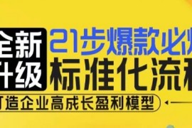 简单项目21步爆款必爆标准化流程，全新升级，打造企业高成长盈利模型12-16冒泡网