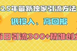 2024最新2025年最新独家引流方法，低投入高回报？当日引流300+精准创业粉01-04冒泡网