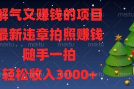 最新项目（13804期）解气又赚钱的项目，最新违章拍照赚钱，随手一拍，轻松收入3000+12-25中创网