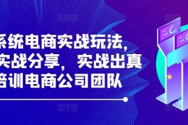 最新项目最新系统电商实战玩法，31天实战分享，实战出真知，培训电商公司团队09-22冒泡网