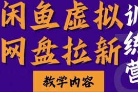 每日闲鱼虚拟网盘拉新训练营，两天快速人门，长久稳定被动收入，要在没有天花板的项目里赚钱11-29冒泡网