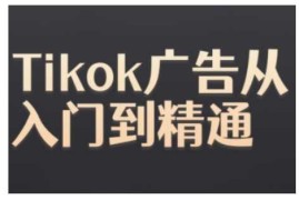 赚钱项目TiktokAds实操教程，Tiktok广告从入门到精通11-20冒泡网