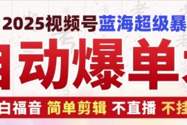 每日2025视频号蓝海超级暴利自动爆单术1.0，小白褔音简单剪辑不直播不挂车12-21冒泡网