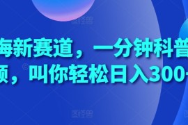 每天蓝海新赛道，一分钟科普视频，叫你轻松日入300+【揭秘】11-04冒泡网