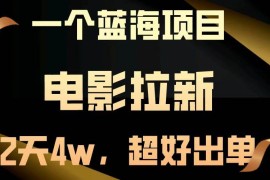 赚钱项目（13396期）【蓝海项目】电影拉新，两天搞了近4w，超好出单，直接起飞11-21中创网