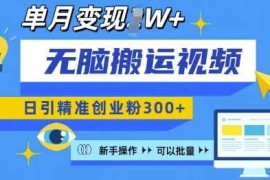 赚钱项目无脑搬运视频号可批量复制，新手即可操作，日引精准创业粉300+，月变现过W 【揭秘】12-21冒泡网