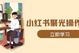 实战（13792期）小红书聚光操作详解，涵盖素材、开户、定位、计划搭建等全流程实操12-24中创网