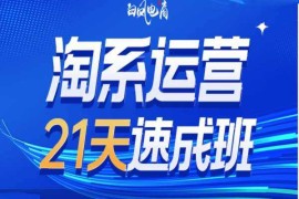 简单项目淘系运营21天速成班35期，年前最后一波和2025方向01-12冒泡网