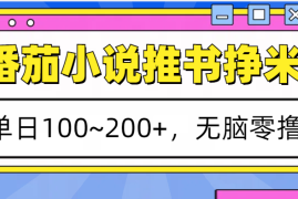 每日番茄小说推书赚米，单日100~200+，无脑零撸12-06福缘网