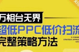 每天超低PPC低价扫流完整策略方法，最新低价扫流底层逻辑，万相台无界低价扫流实战流程方法01-01冒泡网