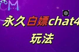 创业项目2024最新GPT4.0永久白嫖，作图做视频的兄弟们有福了【揭秘】11-02冒泡网