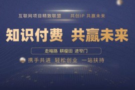 简单项目（13944期）2025年如何通过“知识付费”卖项目月入十万、年入百万，布局2025与&#8230;01-08中创网