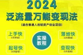 赚钱项目创业变现教学，2024泛流量万能变现法，适合普通人的轻质产创业项目10-28冒泡网