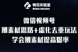 2024最新视频号连怼技术-测素材思路和上下虚化去重玩法-梅花实验室社群专享11-24冒泡网