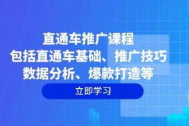 创业项目（14001期）直通车推广课程：包括直通车基础、推广技巧、数据分析、爆款打造等01-19中创网