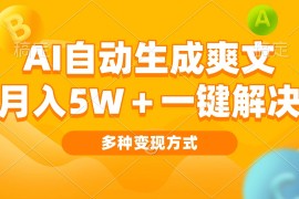 最新项目（13450期）AI自动生成爽文月入5w+一键解决多种变现方式看完就会11-25中创网