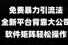 实战（13745期）免费暴力引流法，全新平台，背靠大公司，软件矩阵轻松操作12-21中创网